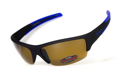 Поляризационные очки BluWater DAYTONA-2 Polarized (brown) коричневые 4ДЕЙТ2-Г50П 4ДЕЙТ2-Г50П фото