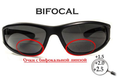 Біфокальні поляризаційні захисні окуляри 3в1 BluWater Winkelman-2 (+2.5) Polarize (gray) сірі 4ВИН2БИФ-Д2.5 фото