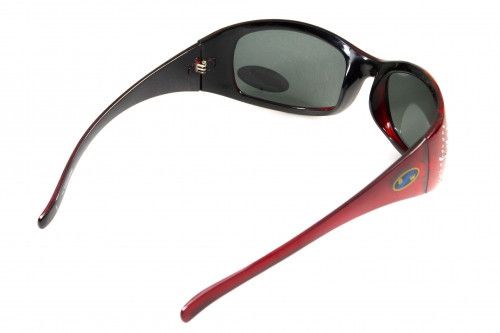 Поляризационные очки BluWater BISCAYENE Red Polarized (gray) серые 4БИСК-К20П фото