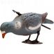 Підсадний голуб Hunting Birdland , імітація годування, імітація забарвлення пера 37.40.04 фото 6