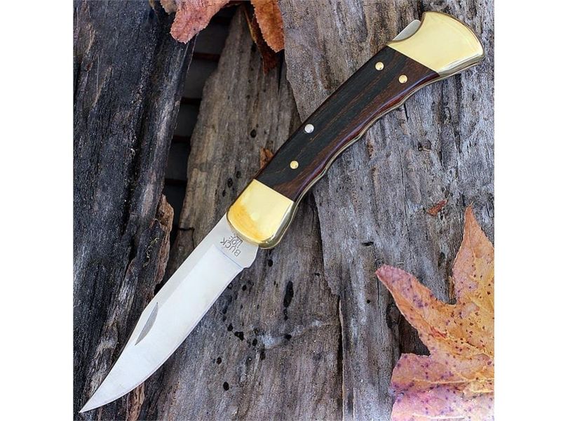 Нож Buck Folding Hunter 110BRSB 4001964 фото