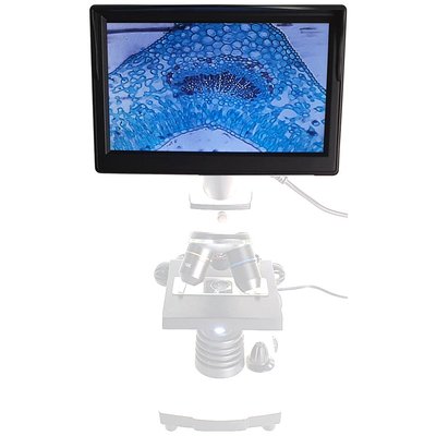 Екран для мікроскопа SIGETA LCD Displayer 5 " 65686 фото