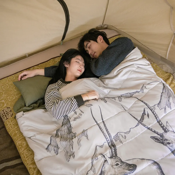 Спальний мішок двомісний із подушками Naturehike NH21MSD06, зелений 6927595795330 фото