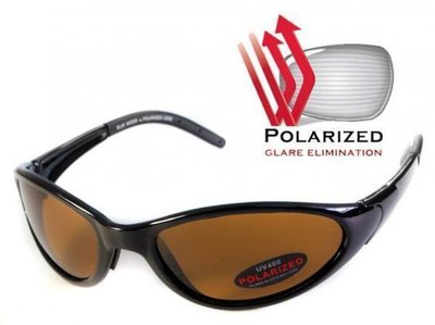 Поляризационные очки BluWater VENICE Polarized (brown) коричневые 4ВЕНИ-50П фото