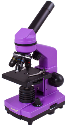 Микроскоп Levenhuk Rainbow 2L Amethyst\Аметист, Levenhuk, 69086 69086 фото