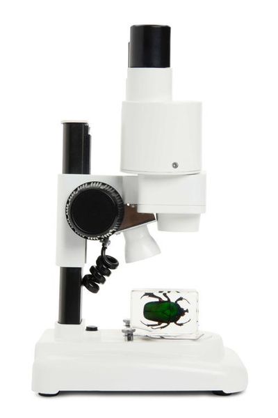 Микроскоп Celestron Labs S20 20х 44207 фото
